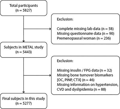 Association of Insulin Resistance and β-cell Function With Bone Turnover Biomarkers in Dysglycemia Patients